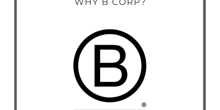 Why B Corp