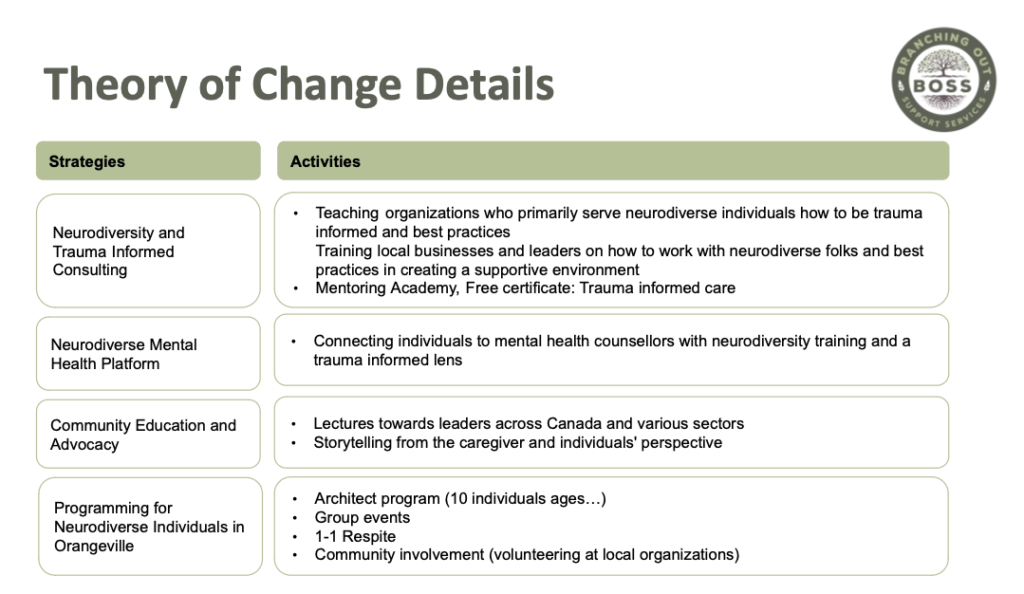 Theory of Change Details