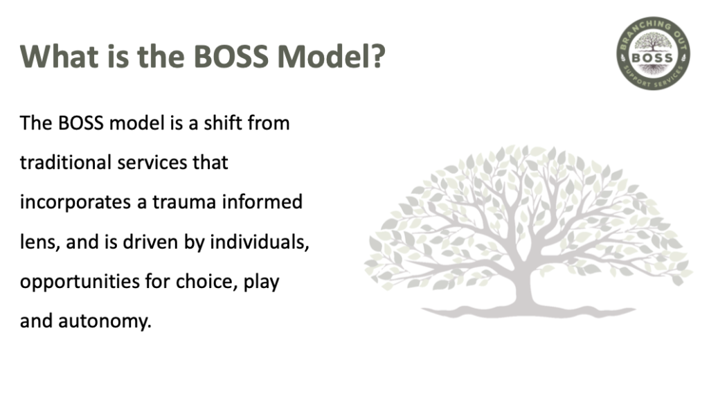 what is the BOSS model