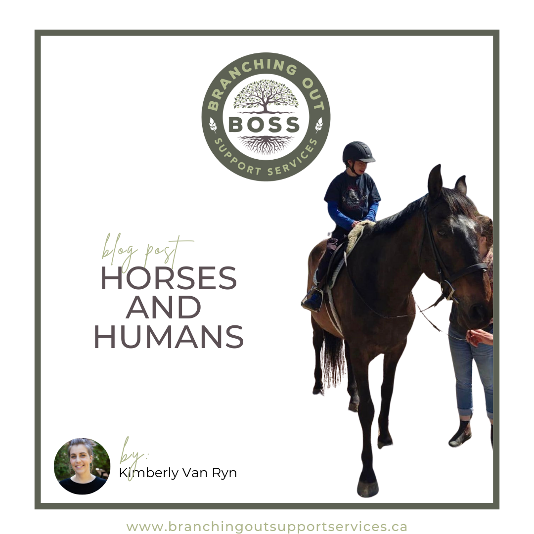 Horses and Humans