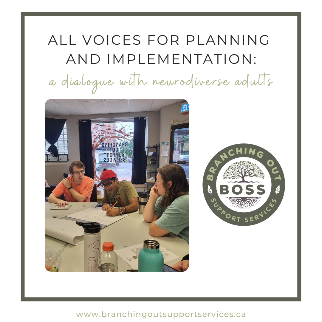 All Voices for Planning and Implementation