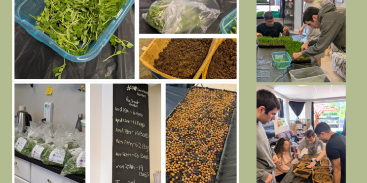 The Opportunity Garden Orangeville
