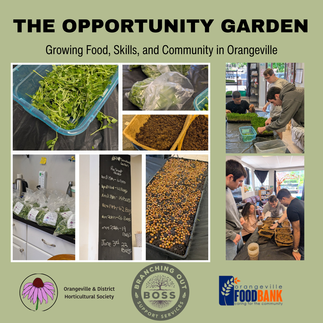 The Opportunity Garden Orangeville